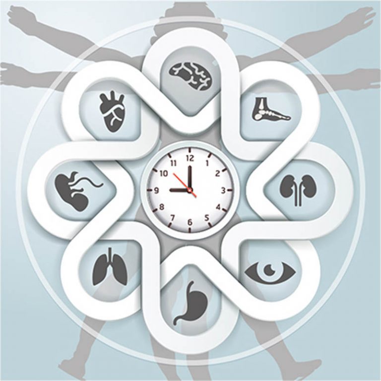 Chronobiology, Circadian Rhythms And The Science Of Sleep ...