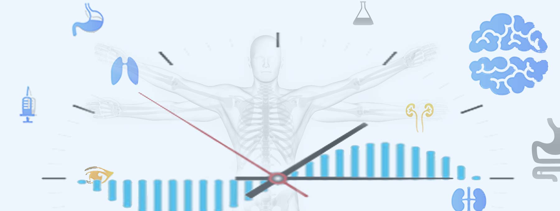 ¿Qué es la cronoterapia? – Chronobiology.com