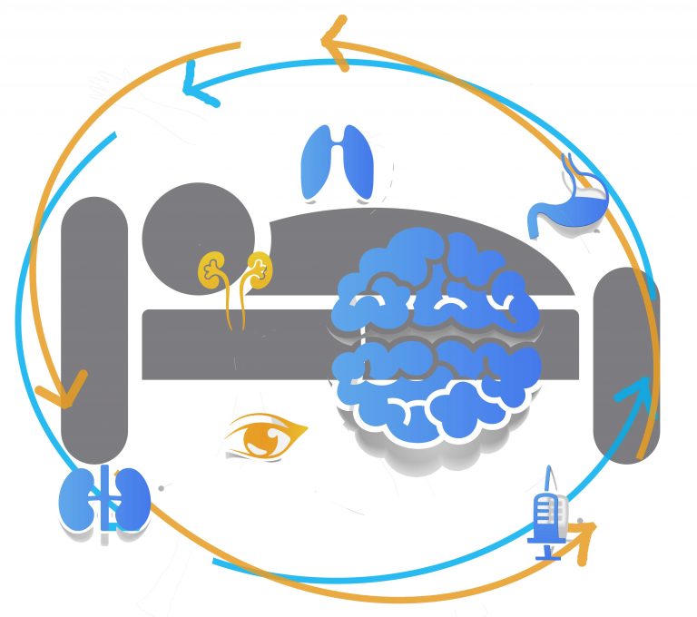 sleep-timing-vs-sleep-length-which-matters-more-chronobiology