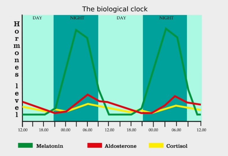 night-shift-work-harms-nurses-by-inhibiting-the-circadian-rhythm-propeaq