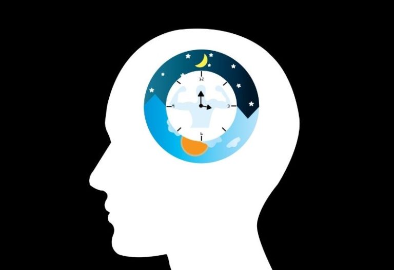 Cancer and the Circadian Clock: Maintaining Balance for Cellular Health ...