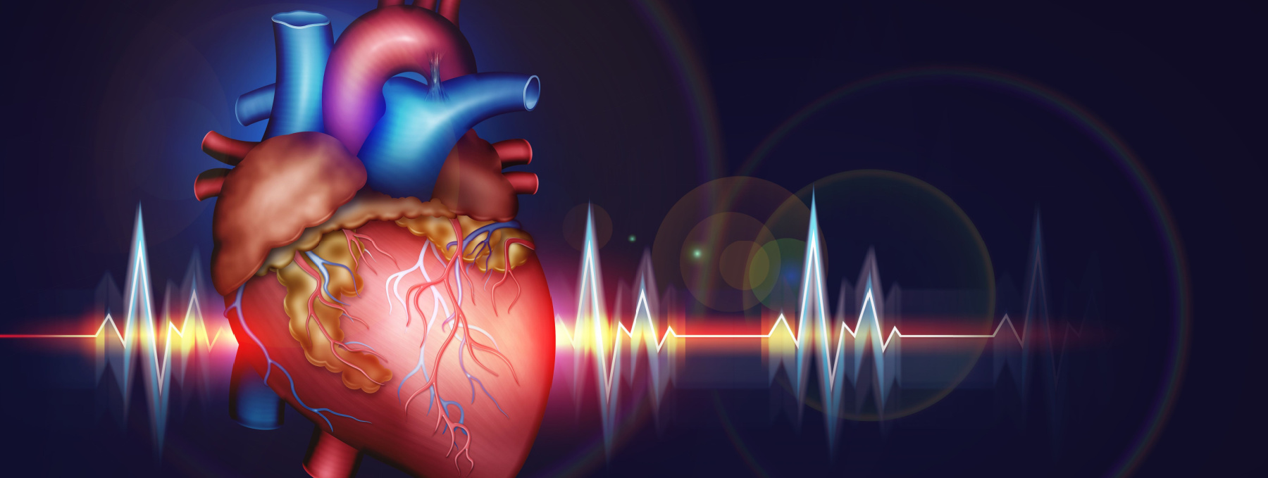 Scientists discover a gene that controls scarring in the diseased heart ...